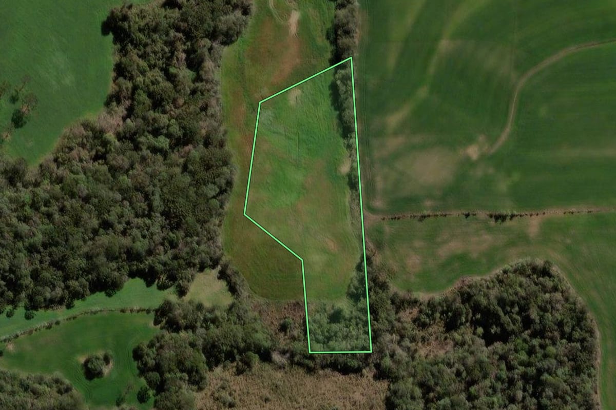 Imagem de satélite do imóvel rural em Soledade (RS), com o contorno declarado no CAR desenhado por cima.