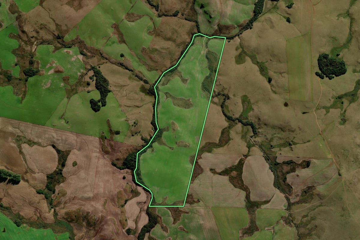 Imagem de satélite do imóvel rural em Soledade (RS), com o contorno declarado no CAR desenhado por cima.
