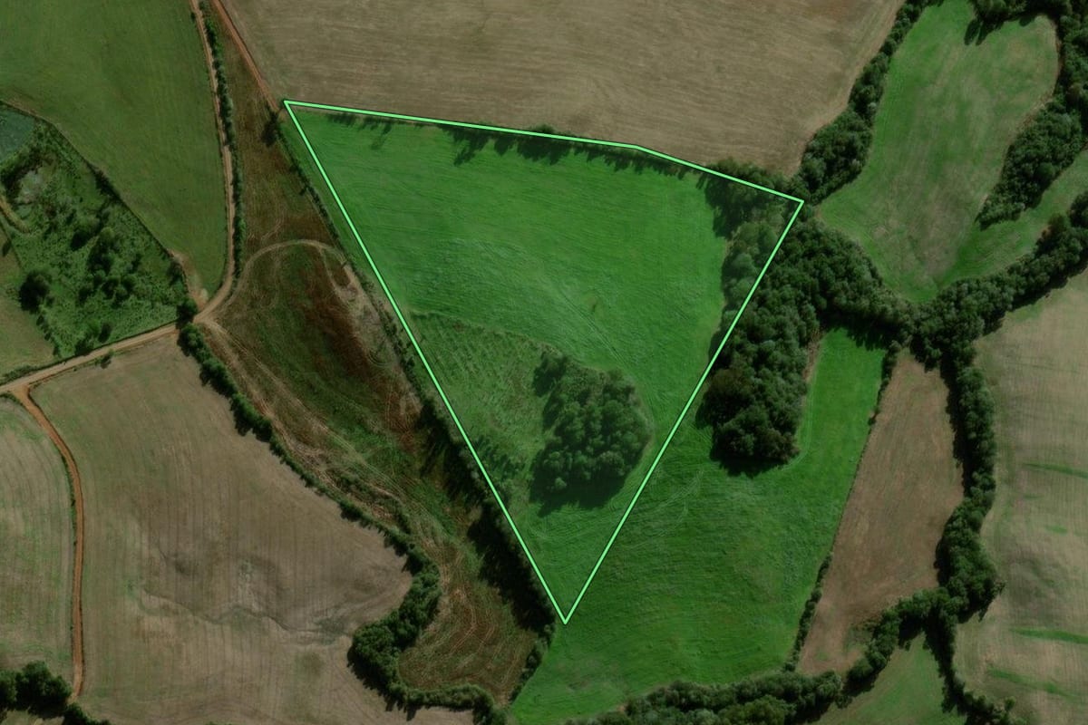 Imagem de satélite do imóvel rural em Soledade (RS), com o contorno declarado no CAR desenhado por cima.