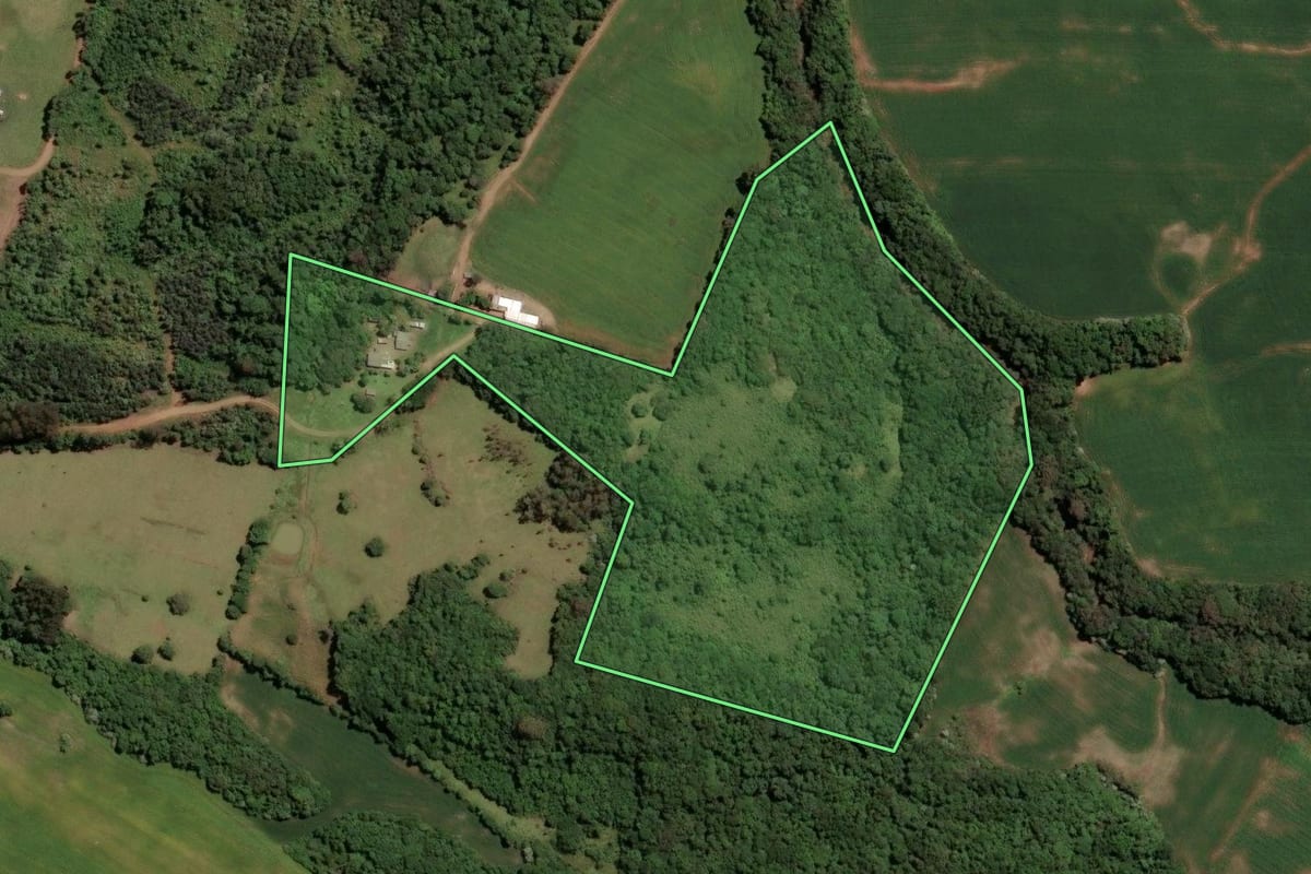 Imagem de satélite do imóvel rural em Soledade (RS), com o contorno declarado no CAR desenhado por cima.