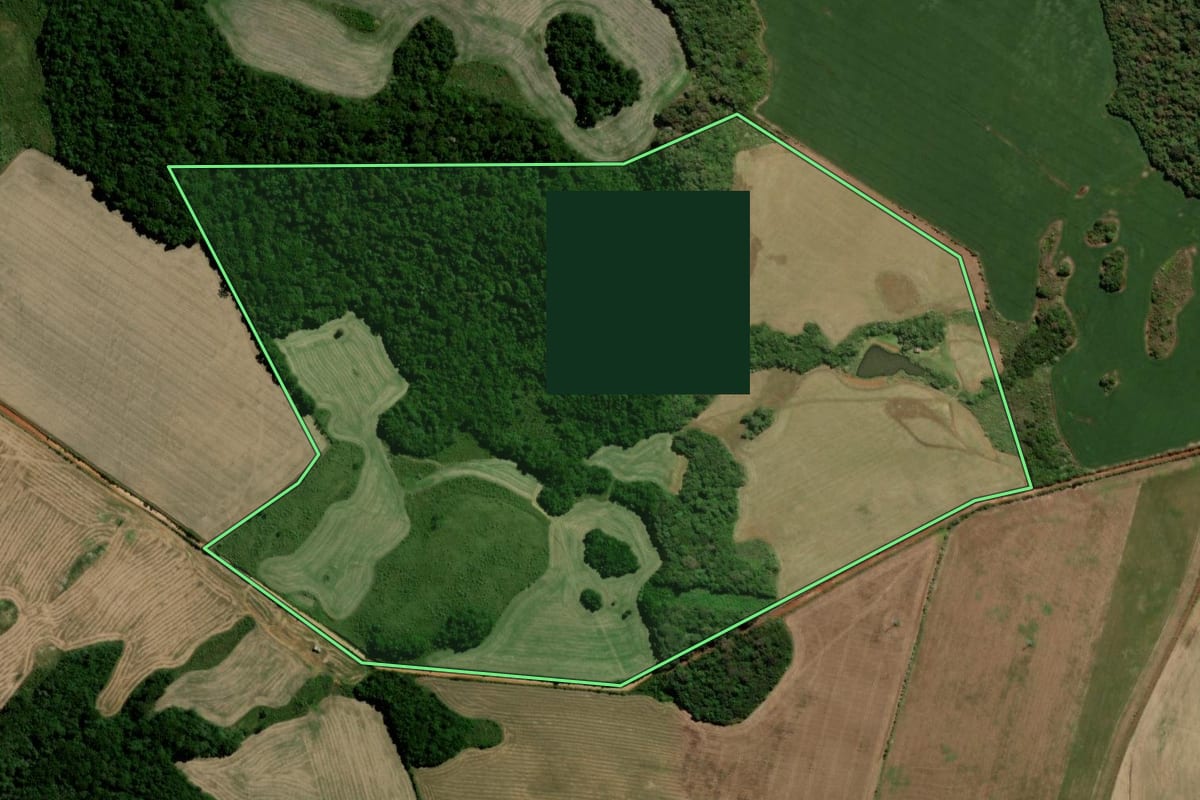 Imagem de satélite do imóvel rural em Soledade (RS), com o contorno declarado no CAR desenhado por cima.