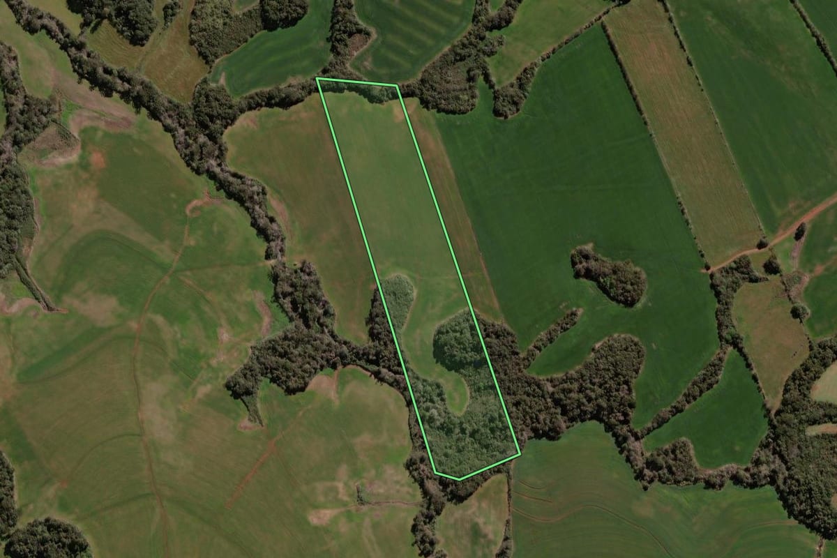 Imagem de satélite do imóvel rural em Soledade (RS), com o contorno declarado no CAR desenhado por cima.