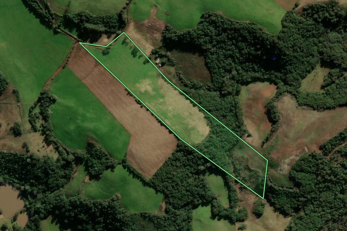 Imagem de satélite do imóvel rural em Soledade (RS), com o contorno declarado no CAR desenhado por cima.