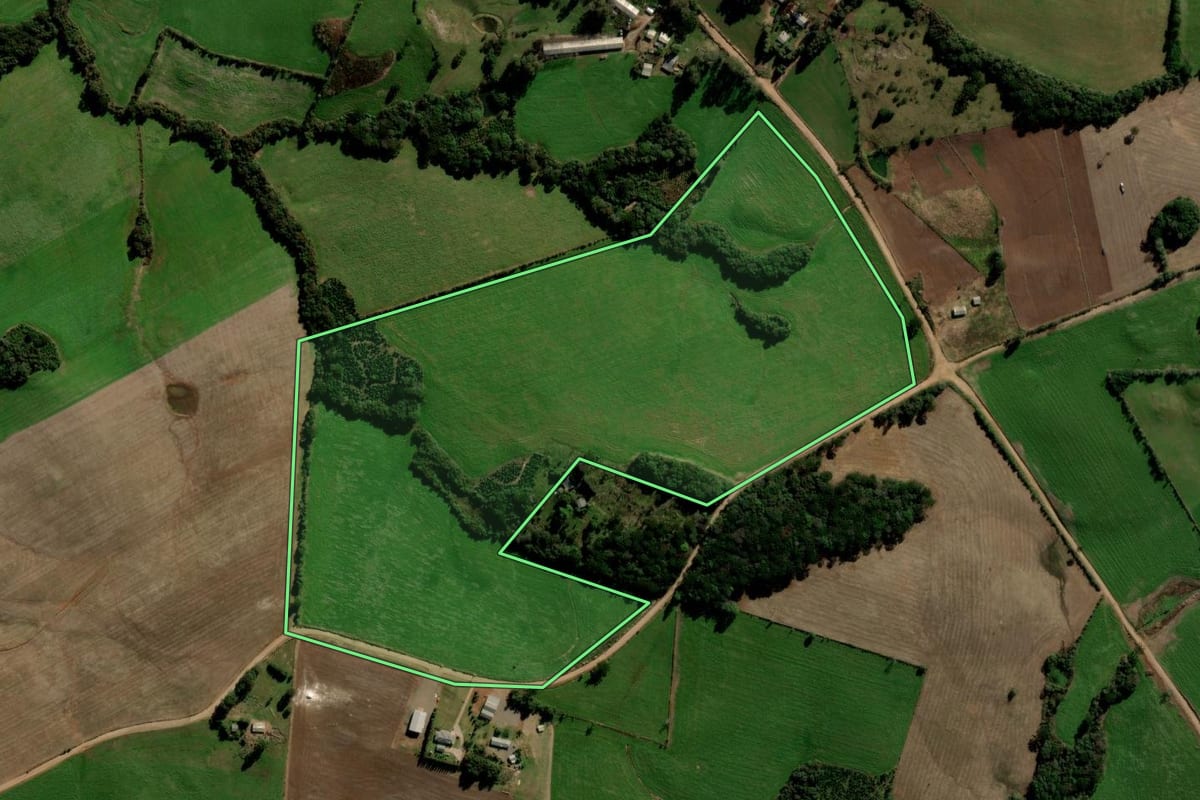 Imagem de satélite do imóvel rural em Soledade (RS), com o contorno declarado no CAR desenhado por cima.