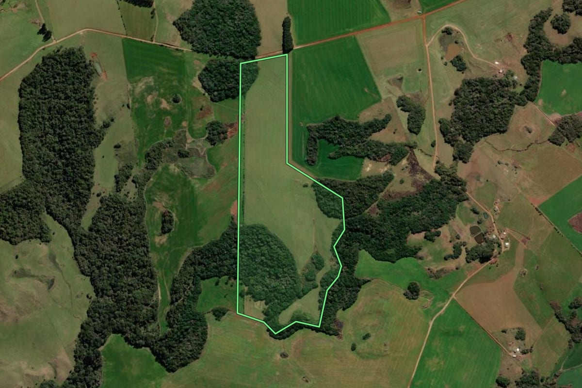 Imagem de satélite do imóvel rural em Soledade (RS), com o contorno declarado no CAR desenhado por cima.