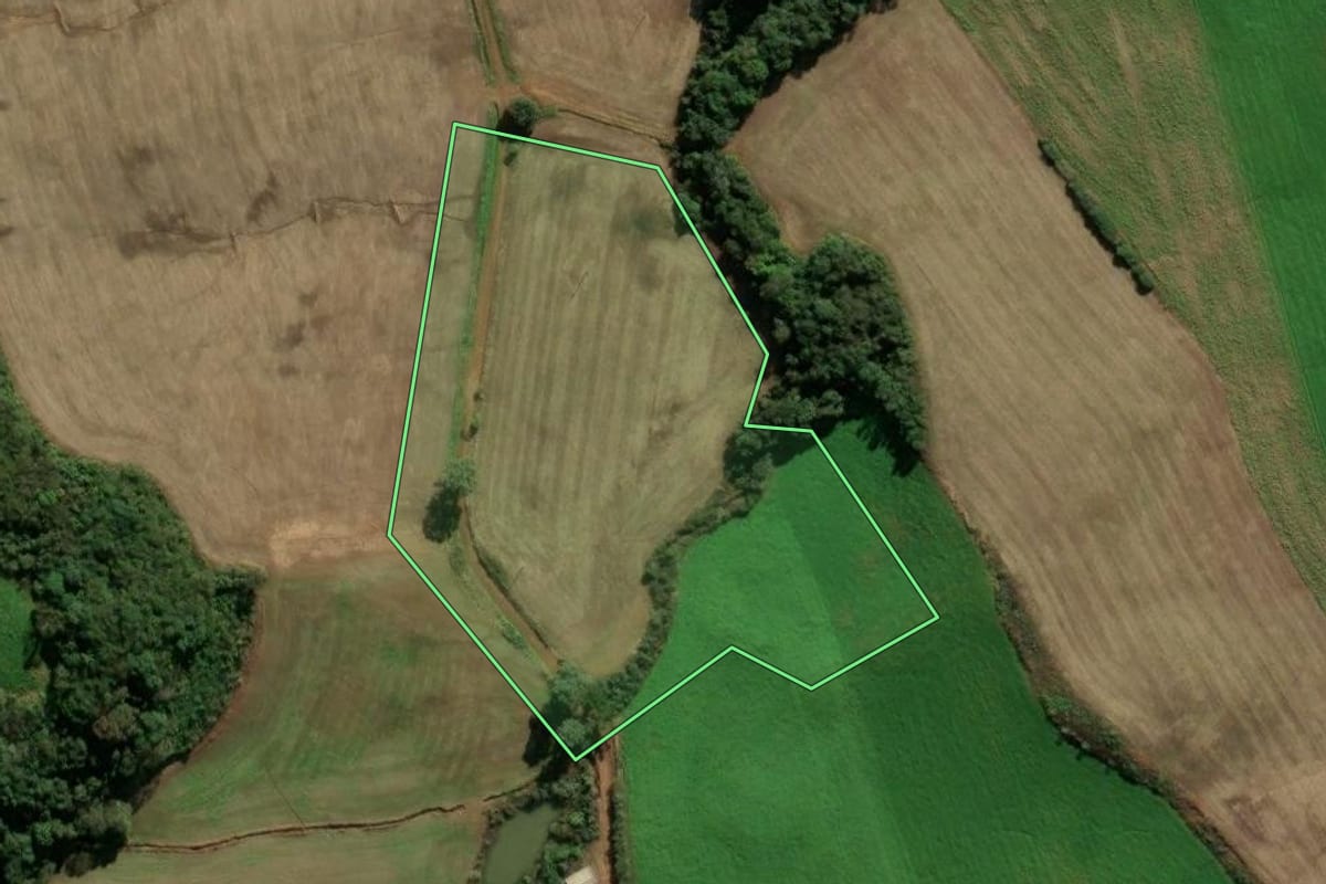 Imagem de satélite do imóvel rural em Soledade (RS), com o contorno declarado no CAR desenhado por cima.