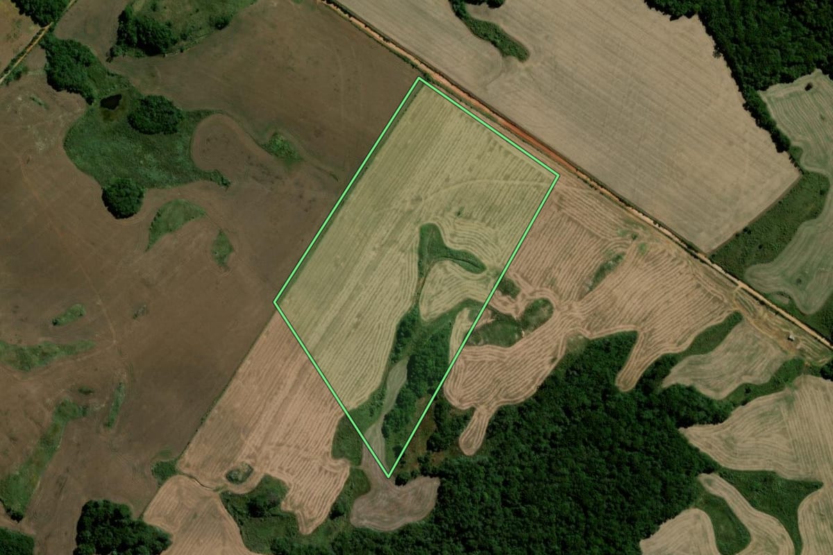 Imagem de satélite do imóvel rural em Soledade (RS), com o contorno declarado no CAR desenhado por cima.