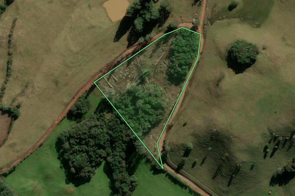 Imagem de satélite do imóvel rural em Soledade (RS), com o contorno declarado no CAR desenhado por cima.