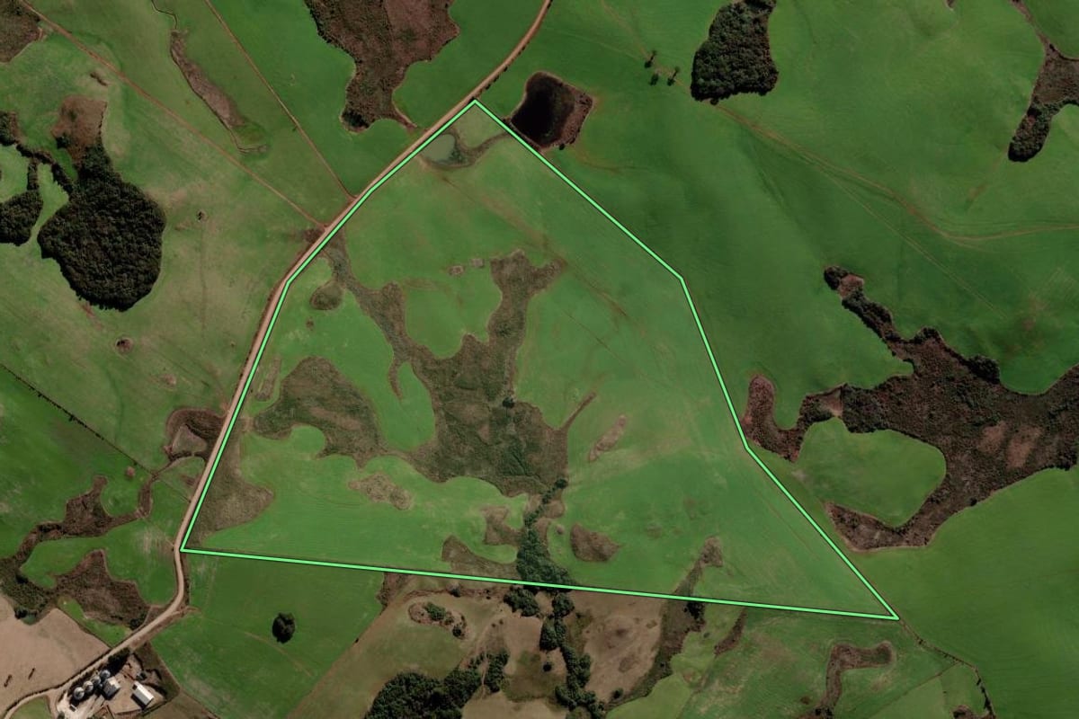 Imagem de satélite do imóvel rural em Soledade (RS), com o contorno declarado no CAR desenhado por cima.