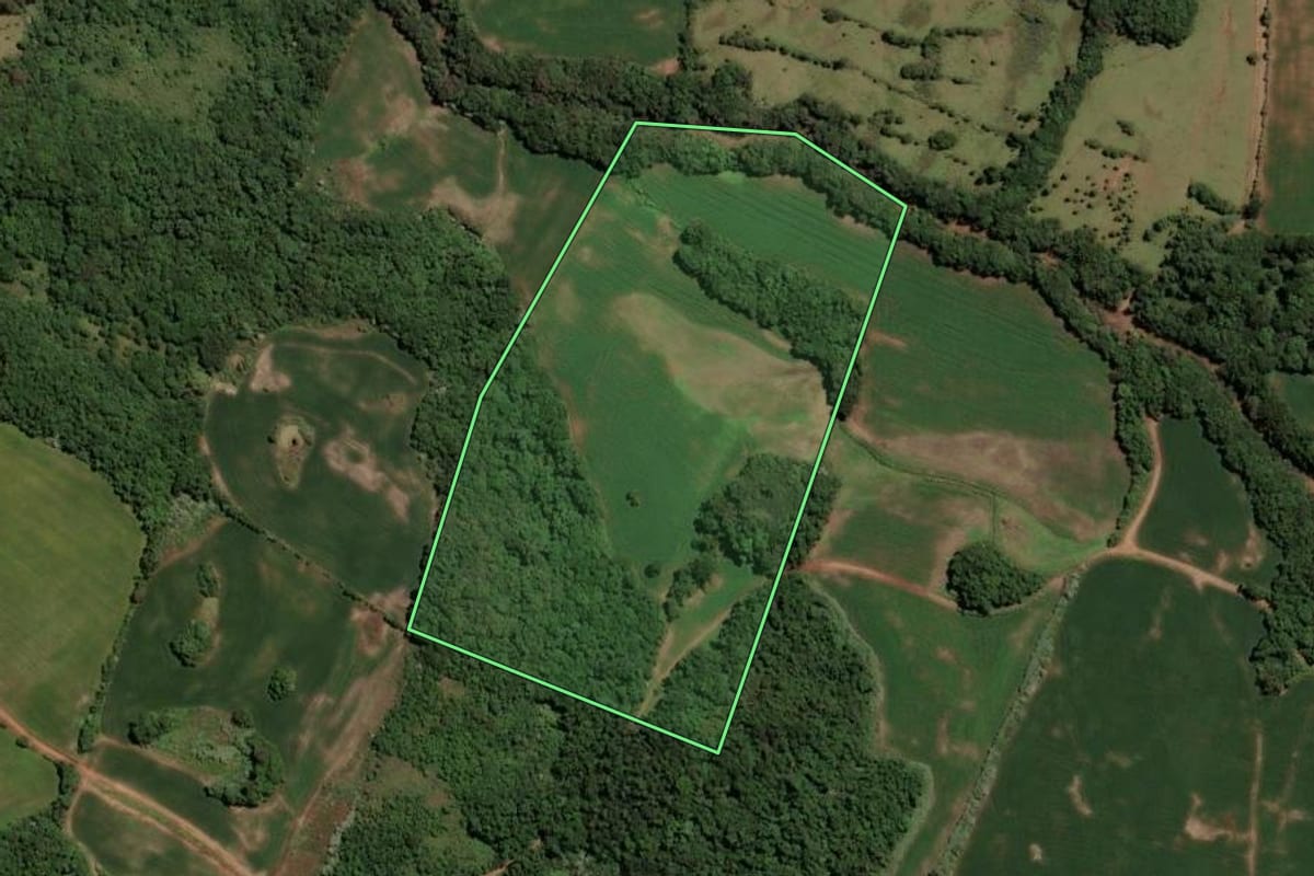 Imagem de satélite do imóvel rural em Soledade (RS), com o contorno declarado no CAR desenhado por cima.
