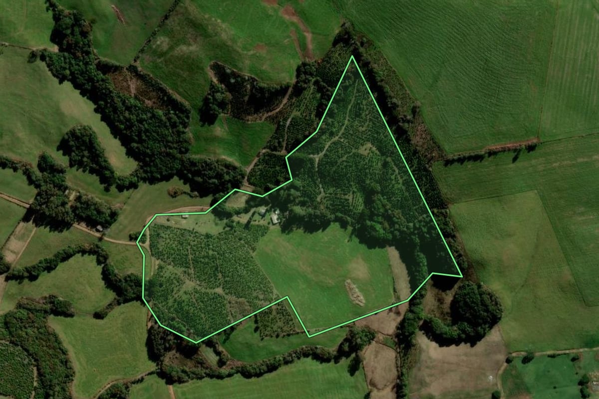 Imagem de satélite do imóvel rural em Soledade (RS), com o contorno declarado no CAR desenhado por cima.
