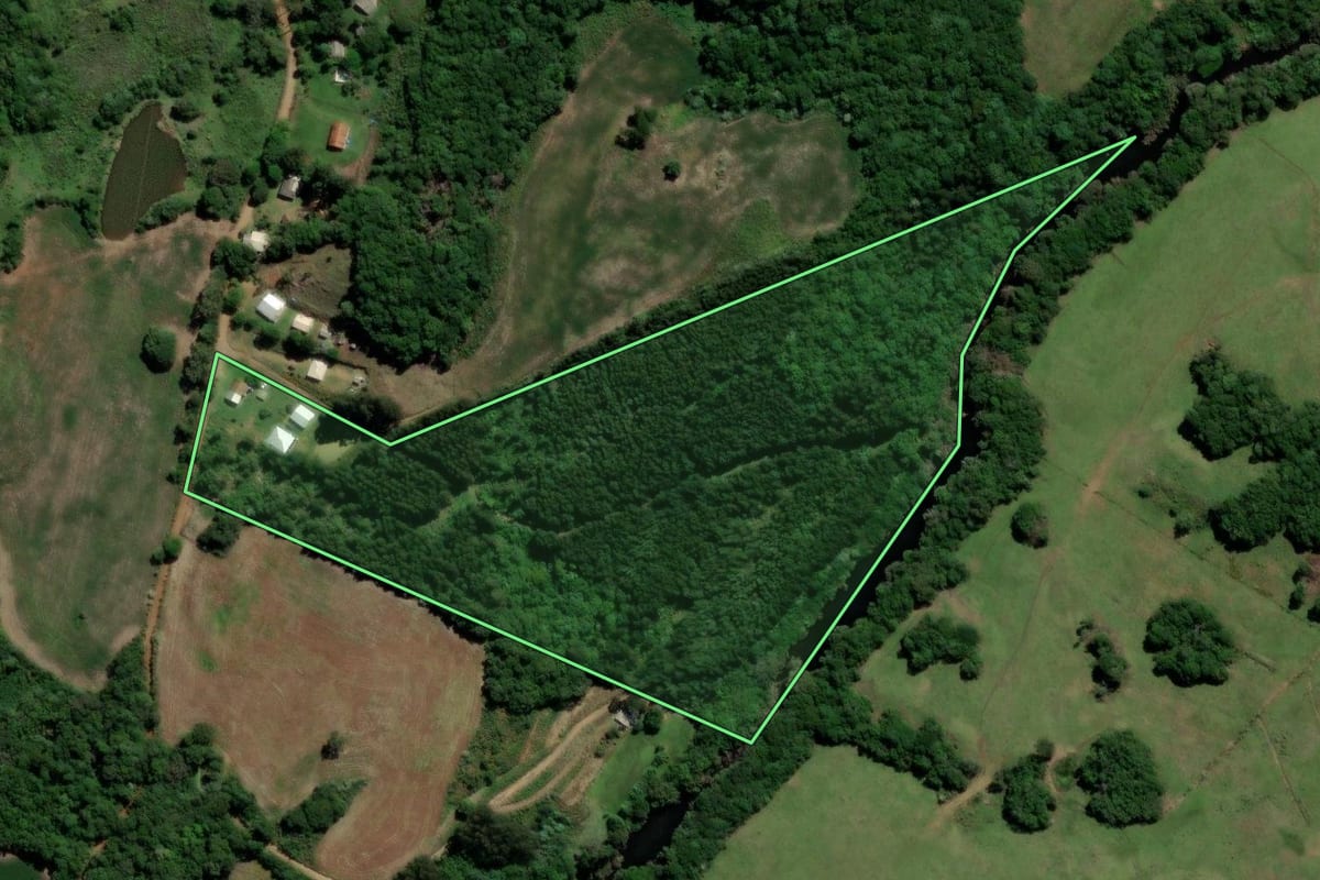 Imagem de satélite do imóvel rural em Soledade (RS), com o contorno declarado no CAR desenhado por cima.