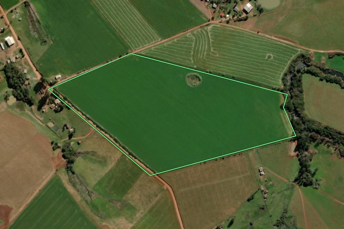 Imagem de satélite do imóvel rural em Soledade (RS), com o contorno declarado no CAR desenhado por cima.