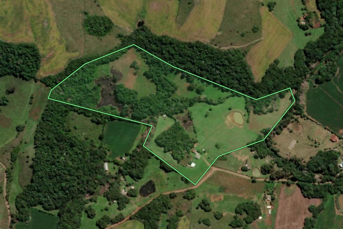 Imagem de satélite do imóvel rural em Soledade (RS), com o contorno declarado no CAR desenhado por cima.