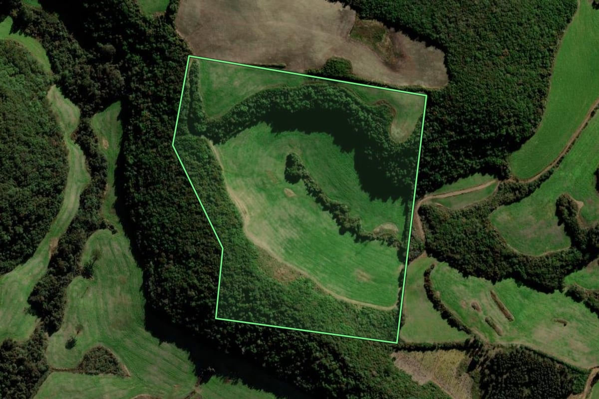 Imagem de satélite do imóvel rural em Soledade (RS), com o contorno declarado no CAR desenhado por cima.