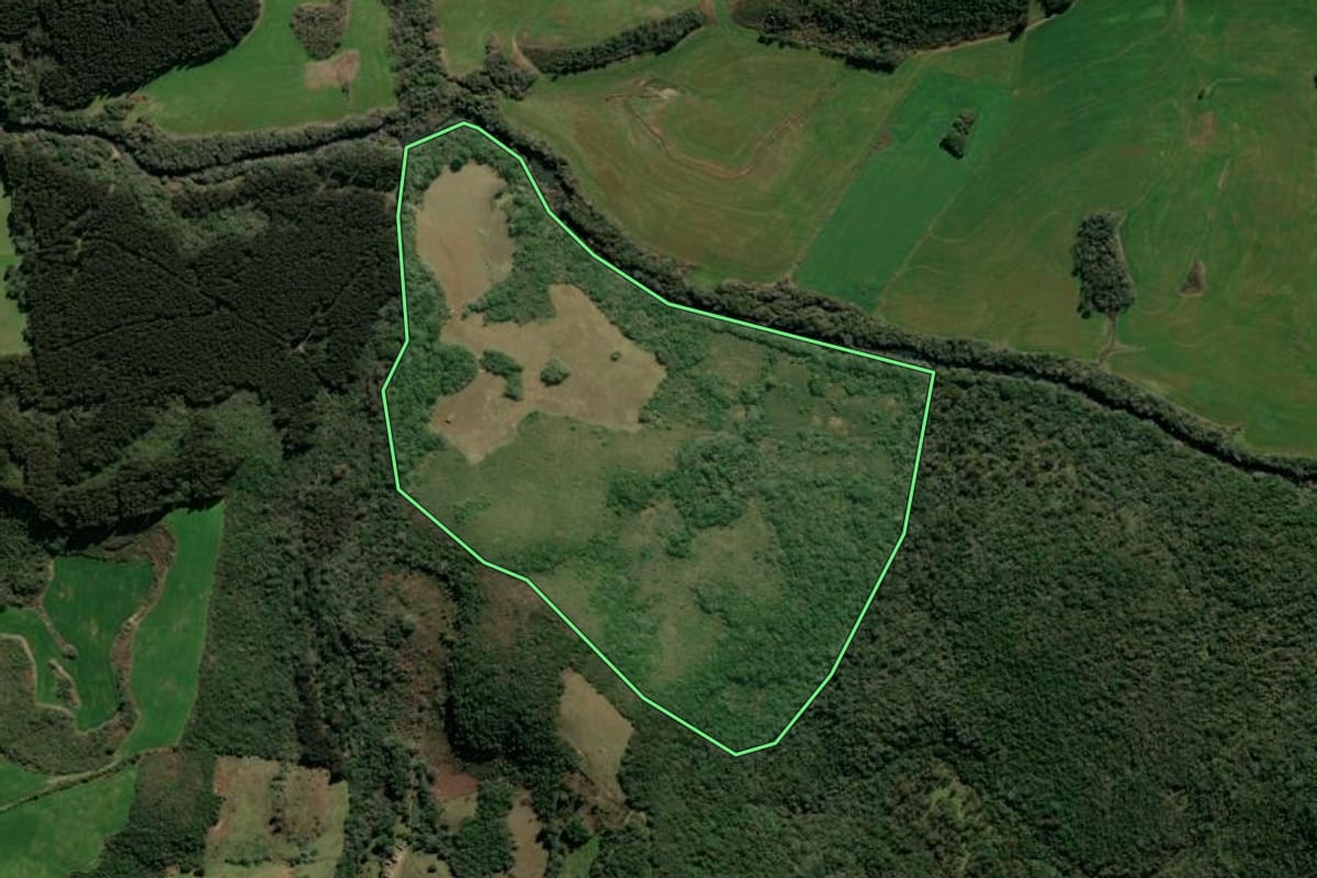 Imagem de satélite do imóvel rural em Soledade (RS), com o contorno declarado no CAR desenhado por cima.