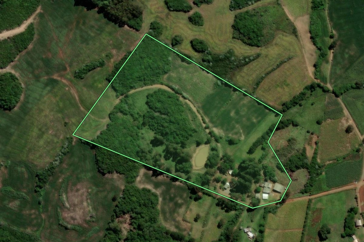Imagem de satélite do imóvel rural em Soledade (RS), com o contorno declarado no CAR desenhado por cima.