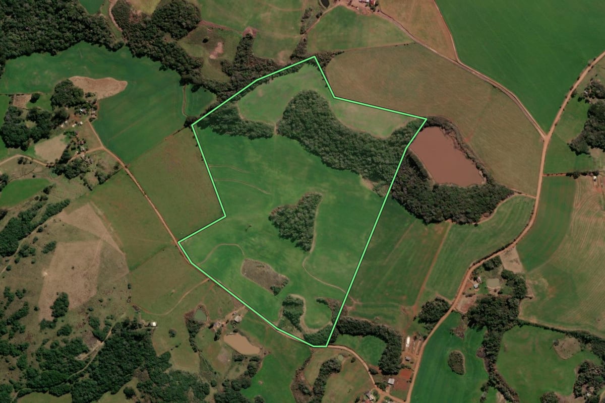 Imagem de satélite do imóvel rural em Soledade (RS), com o contorno declarado no CAR desenhado por cima.