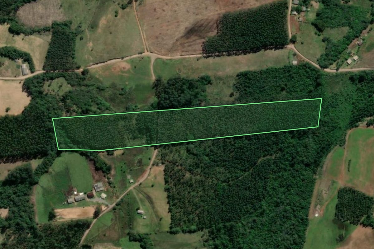 Imagem de satélite do imóvel rural em Tabaí (RS), com o contorno declarado no CAR desenhado por cima.