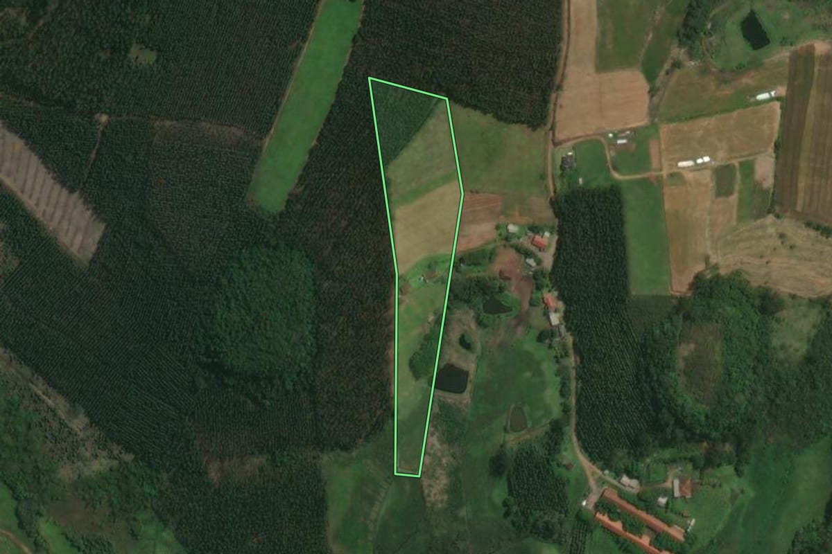 Imagem de satélite do imóvel rural em Tabaí (RS), com o contorno declarado no CAR desenhado por cima.