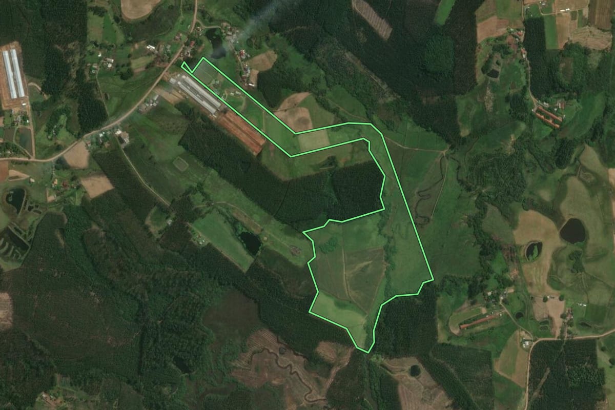 Imagem de satélite do imóvel rural em Tabaí (RS), com o contorno declarado no CAR desenhado por cima.