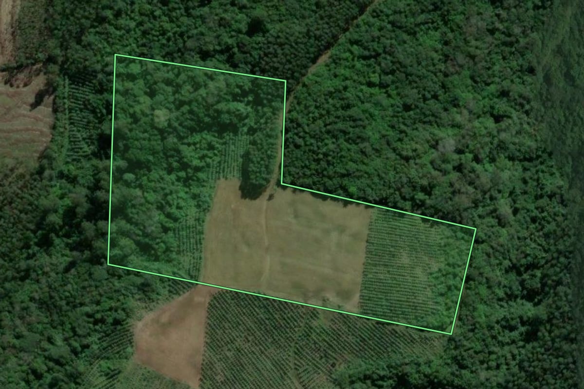 Imagem de satélite do imóvel rural em Tabaí (RS), com o contorno declarado no CAR desenhado por cima.