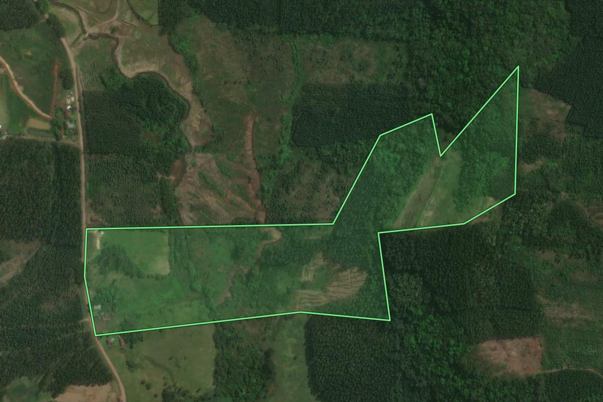 Imagem de satélite do imóvel rural em Tabaí (RS), com o contorno declarado no CAR desenhado por cima.