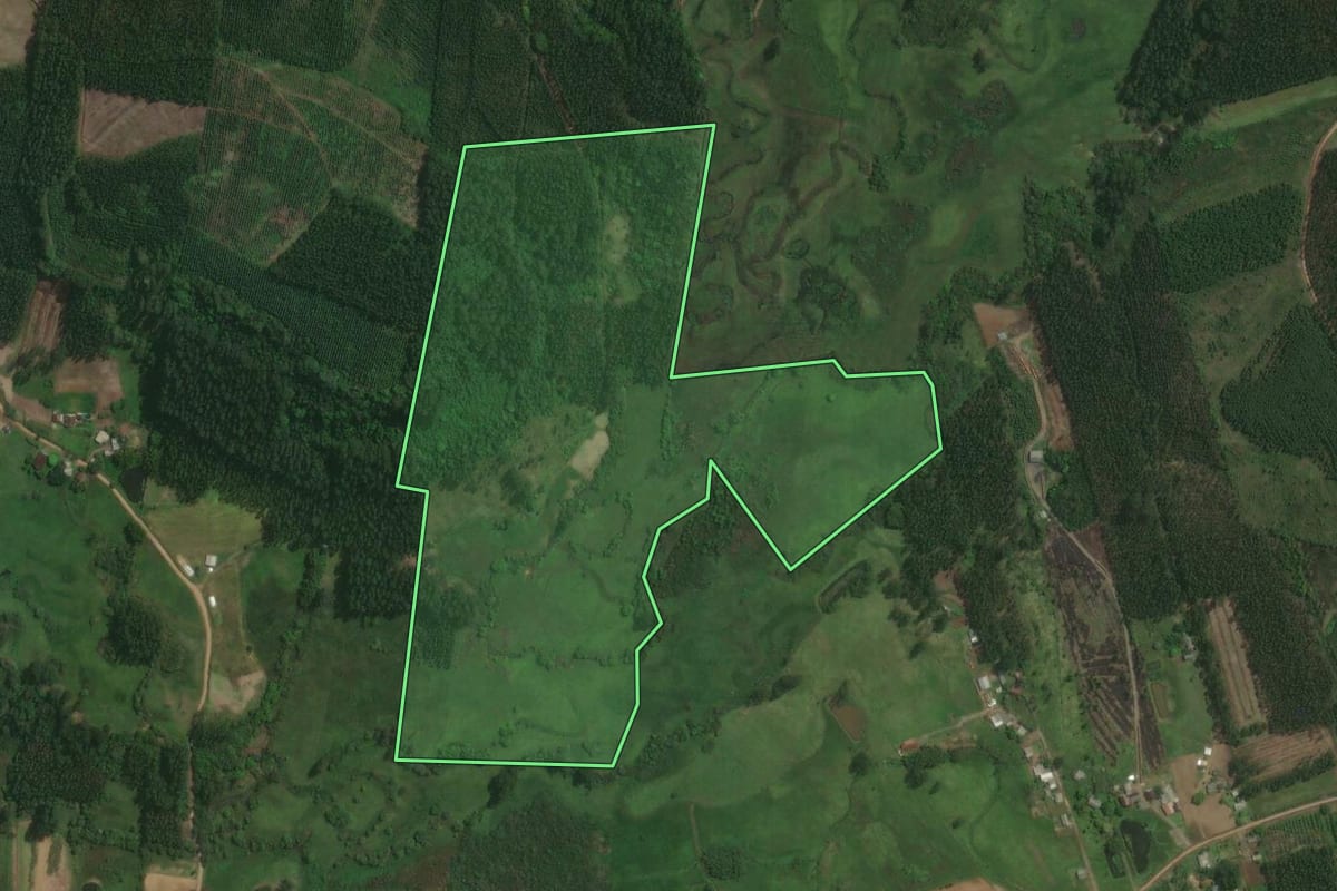 Imagem de satélite do imóvel rural em Tabaí (RS), com o contorno declarado no CAR desenhado por cima.