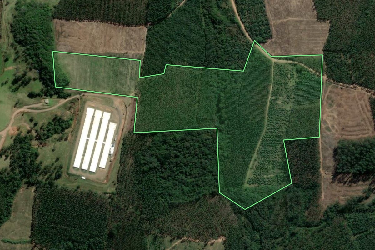 Imagem de satélite do imóvel rural em Tabaí (RS), com o contorno declarado no CAR desenhado por cima.