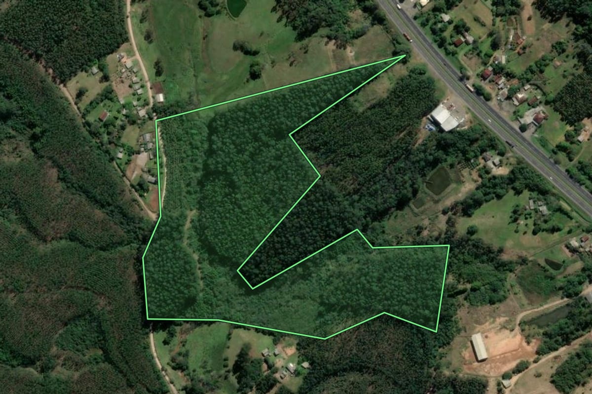 Imagem de satélite do imóvel rural em Tabaí (RS), com o contorno declarado no CAR desenhado por cima.