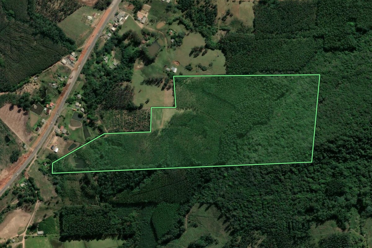 Imagem de satélite do imóvel rural em Tabaí (RS), com o contorno declarado no CAR desenhado por cima.