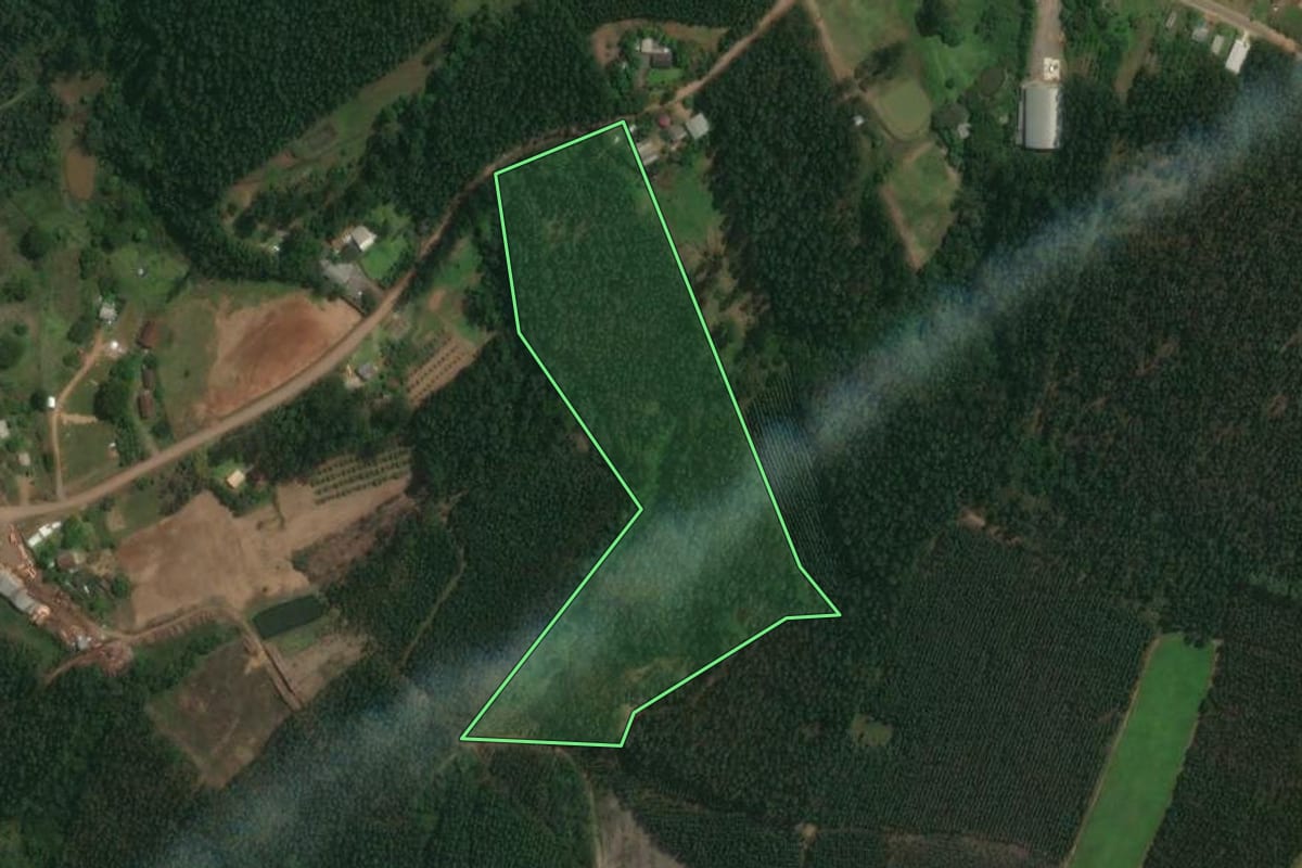 Imagem de satélite do imóvel rural em Tabaí (RS), com o contorno declarado no CAR desenhado por cima.