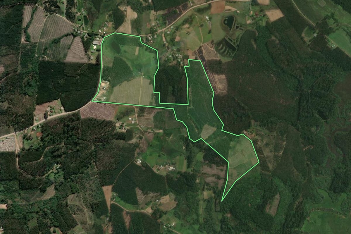 Imagem de satélite do imóvel rural em Tabaí (RS), com o contorno declarado no CAR desenhado por cima.