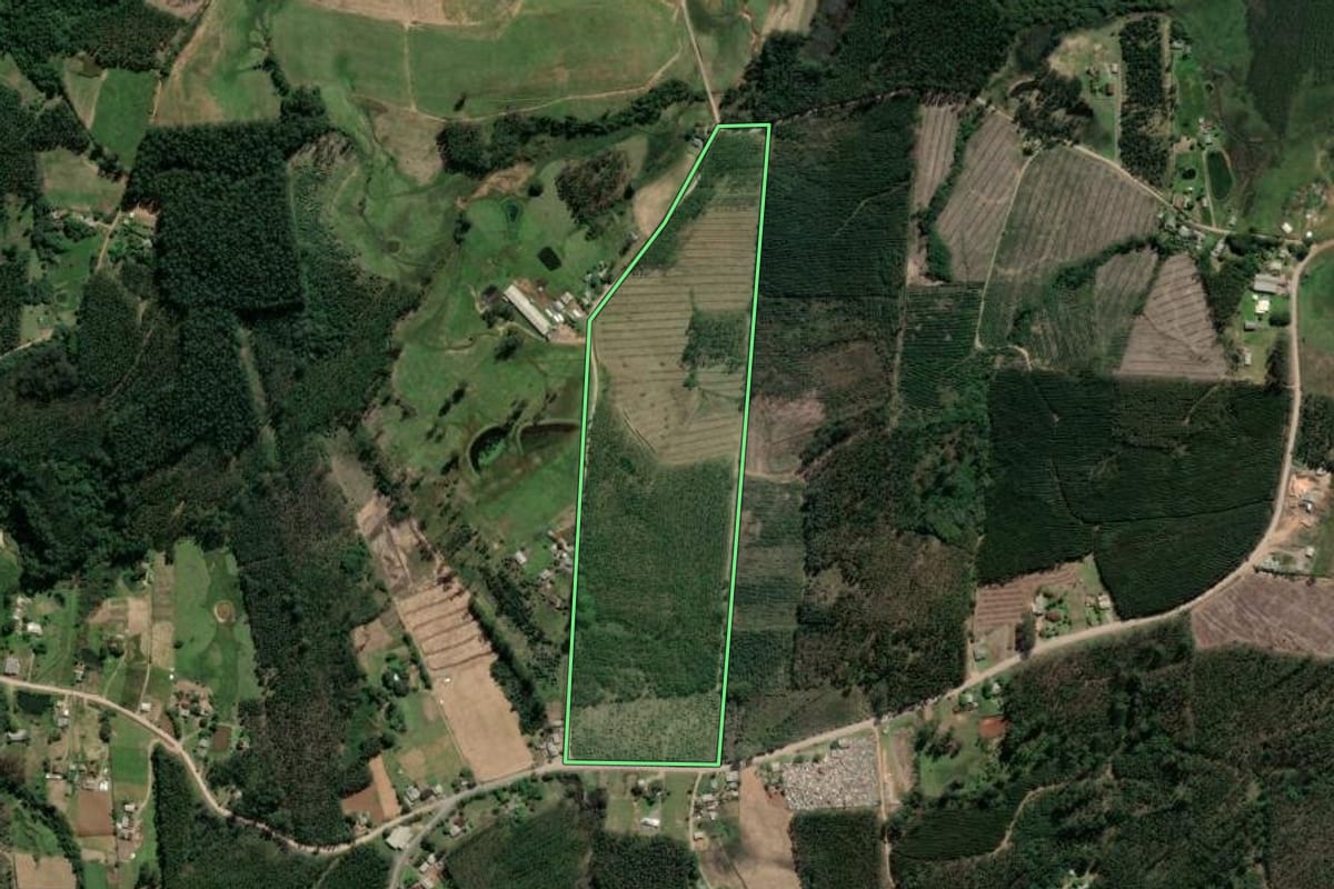 Imagem de satélite do imóvel rural em Tabaí (RS), com o contorno declarado no CAR desenhado por cima.