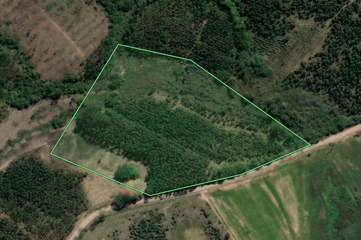 Imagem de satélite do imóvel rural em Tabaí (RS), com o contorno declarado no CAR desenhado por cima.
