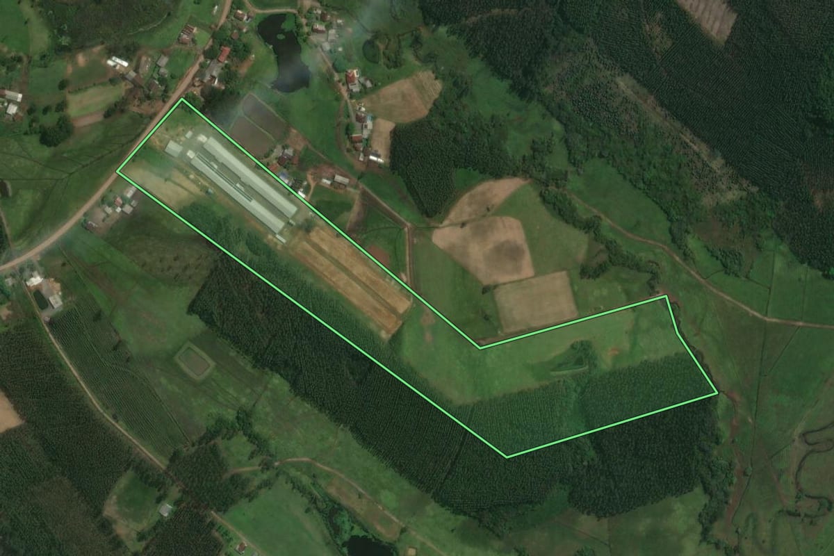 Imagem de satélite do imóvel rural em Tabaí (RS), com o contorno declarado no CAR desenhado por cima.