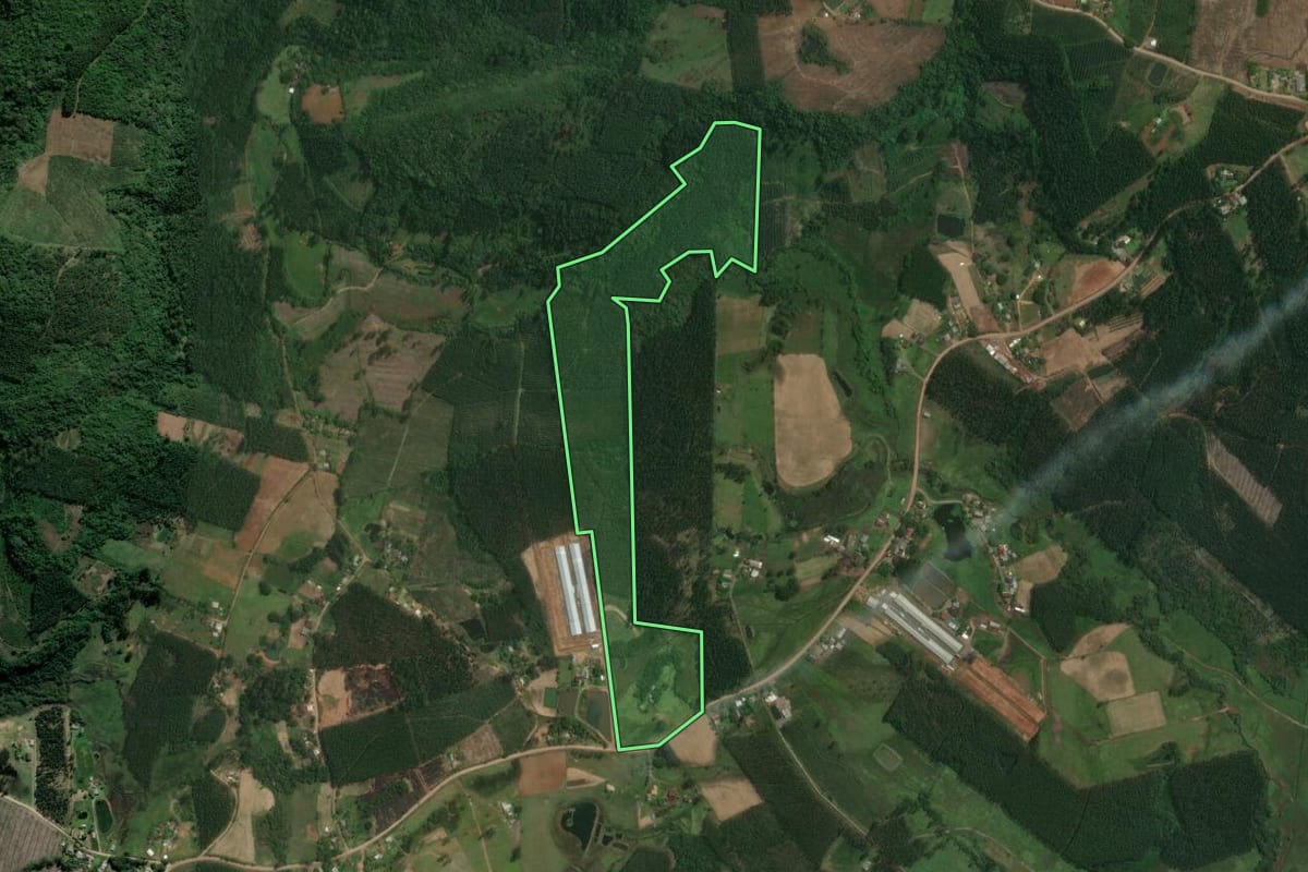 Imagem de satélite do imóvel rural em Tabaí (RS), com o contorno declarado no CAR desenhado por cima.