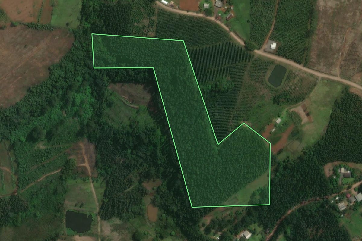 Imagem de satélite do imóvel rural em Tabaí (RS), com o contorno declarado no CAR desenhado por cima.