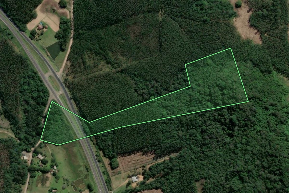 Imagem de satélite do imóvel rural em Tabaí (RS), com o contorno declarado no CAR desenhado por cima.