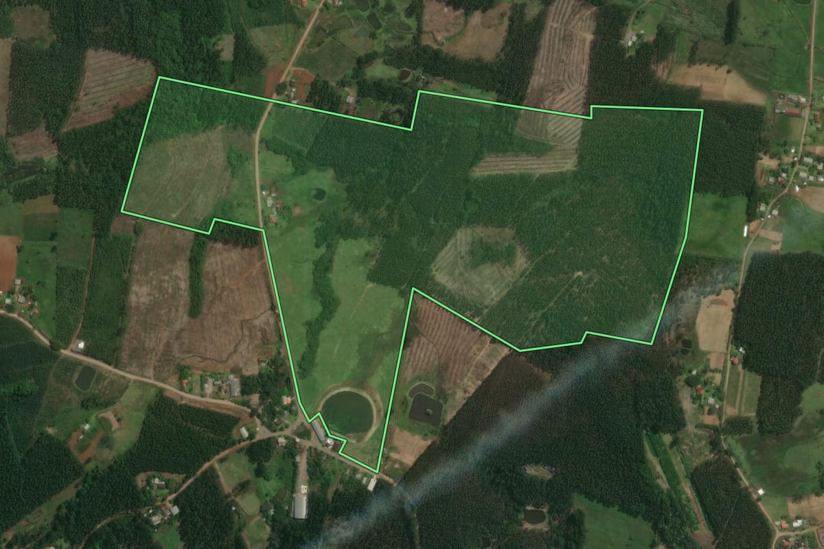 Imagem de satélite do imóvel rural em Tabaí (RS), com o contorno declarado no CAR desenhado por cima.