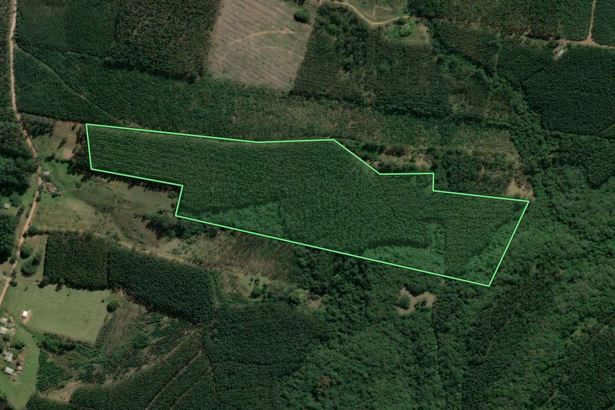 Imagem de satélite do imóvel rural em Tabaí (RS), com o contorno declarado no CAR desenhado por cima.