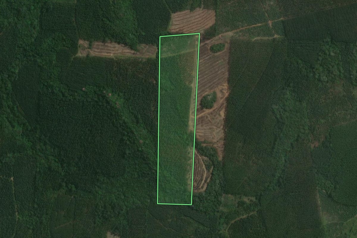 Imagem de satélite do imóvel rural em Tabaí (RS), com o contorno declarado no CAR desenhado por cima.