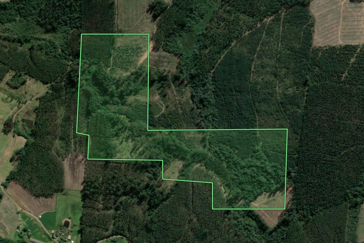 Imagem de satélite do imóvel rural em Tabaí (RS), com o contorno declarado no CAR desenhado por cima.
