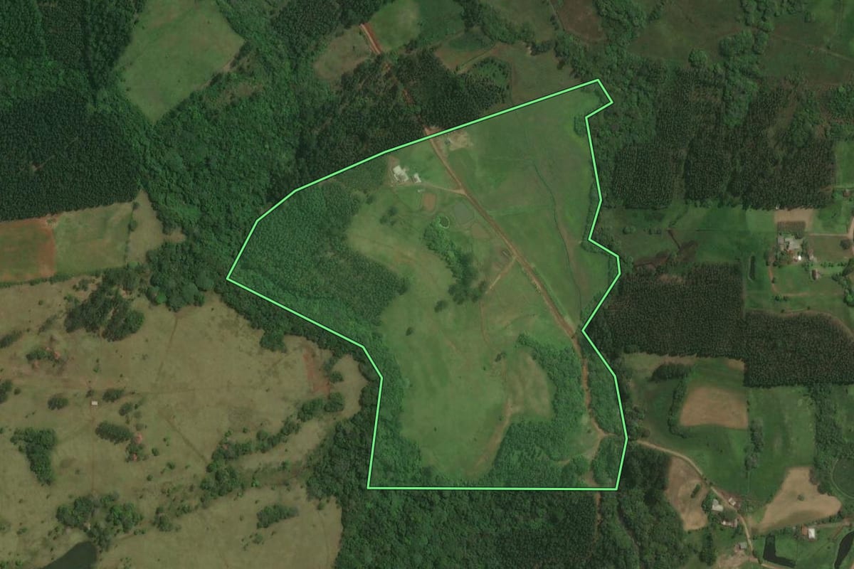 Imagem de satélite do imóvel rural em Tabaí (RS), com o contorno declarado no CAR desenhado por cima.