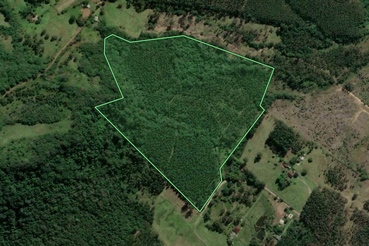 Imagem de satélite do imóvel rural em Tabaí (RS), com o contorno declarado no CAR desenhado por cima.