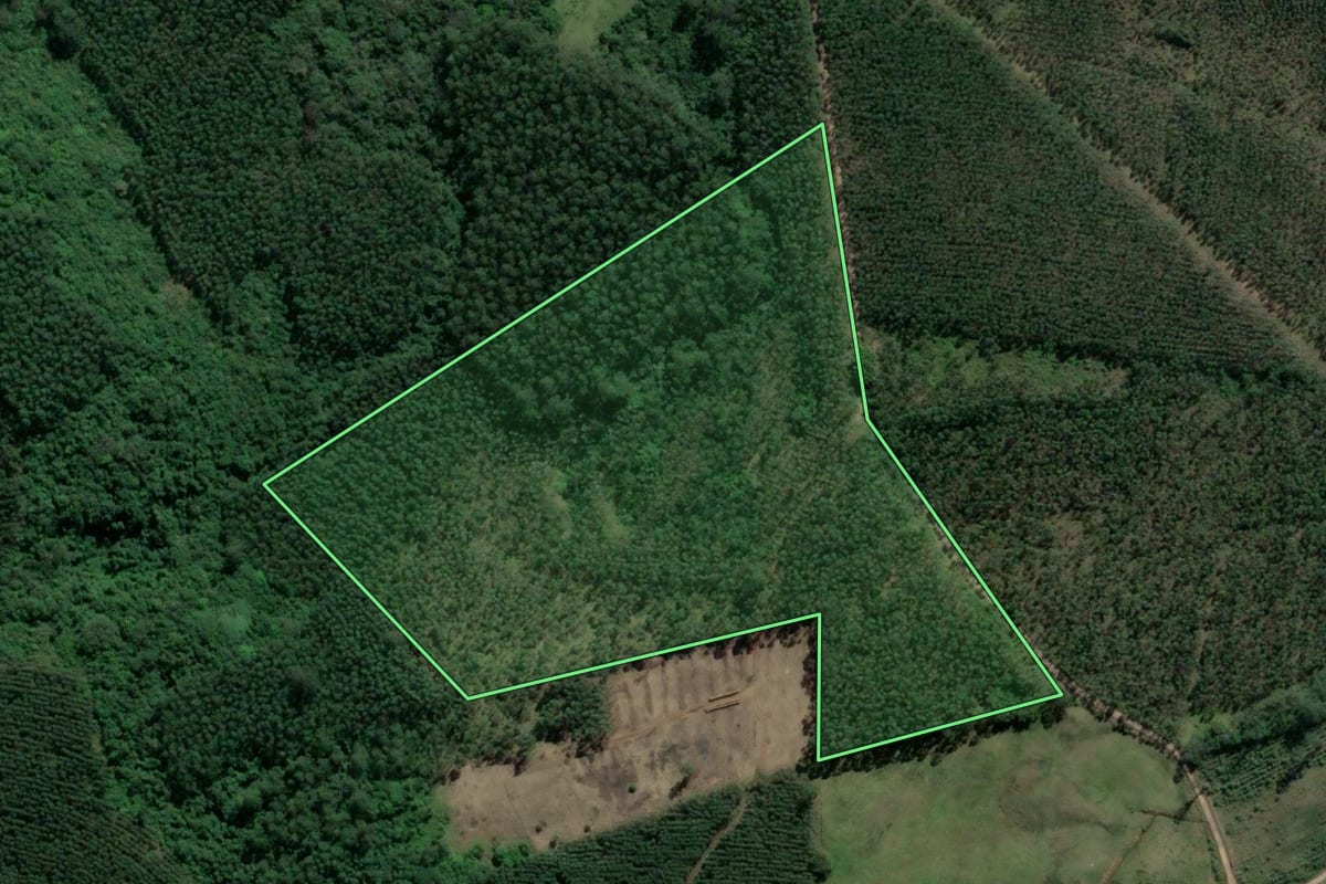 Imagem de satélite do imóvel rural em Tabaí (RS), com o contorno declarado no CAR desenhado por cima.