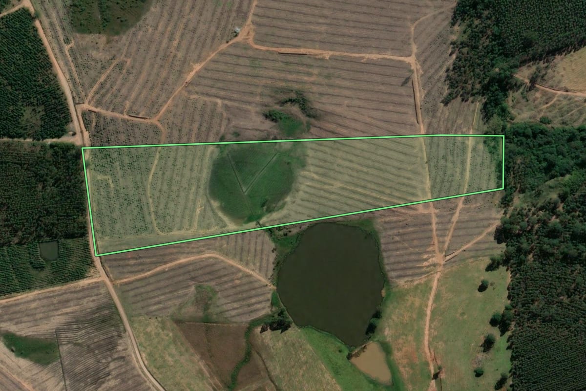 Imagem de satélite do imóvel rural em Tabaí (RS), com o contorno declarado no CAR desenhado por cima.