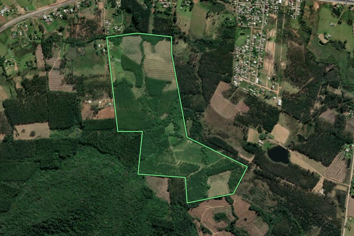 Imagem de satélite do imóvel rural em Tabaí (RS), com o contorno declarado no CAR desenhado por cima.