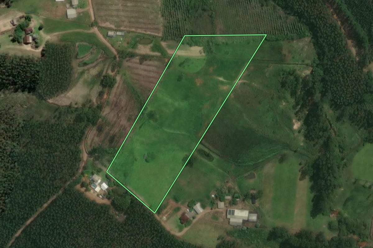 Imagem de satélite do imóvel rural em Tabaí (RS), com o contorno declarado no CAR desenhado por cima.