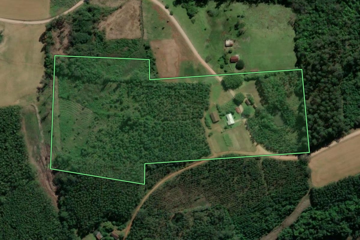 Imagem de satélite do imóvel rural em Tabaí (RS), com o contorno declarado no CAR desenhado por cima.